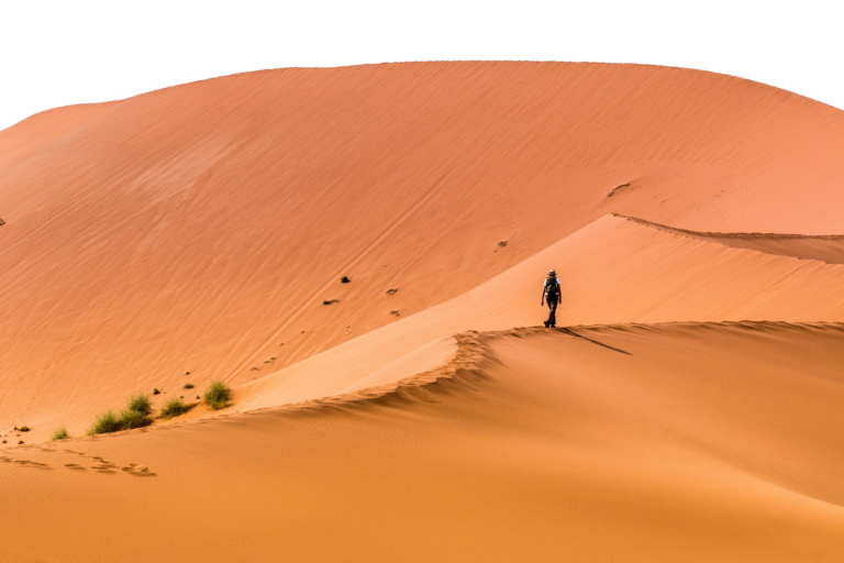 Camel Rides - Namibia Safari Concierge